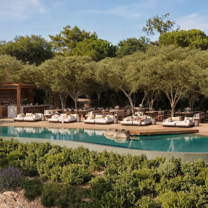 The Cabanas pool with sun loungers under olive trees